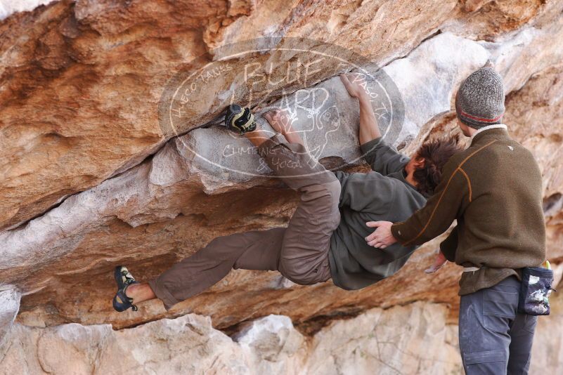 

Filename: SRM_20180107_1106290.jpg
Aperture: f/4.0
Shutter Speed: 1/400
Body: Canon EOS-1D Mark II
Lens: Canon EF 85mm f/1.2 L II