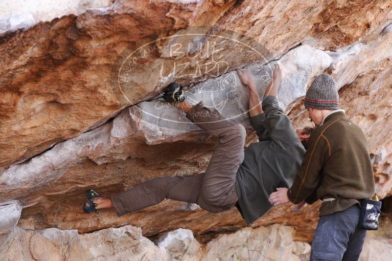 

Filename: SRM_20180107_1106310.jpg
Aperture: f/4.0
Shutter Speed: 1/500
Body: Canon EOS-1D Mark II
Lens: Canon EF 85mm f/1.2 L II