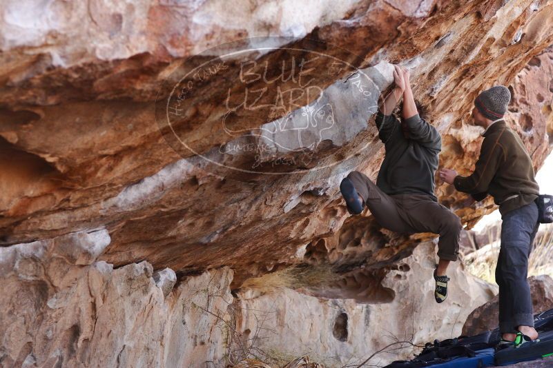 

Filename: SRM_20180107_1106430.jpg
Aperture: f/4.0
Shutter Speed: 1/640
Body: Canon EOS-1D Mark II
Lens: Canon EF 85mm f/1.2 L II