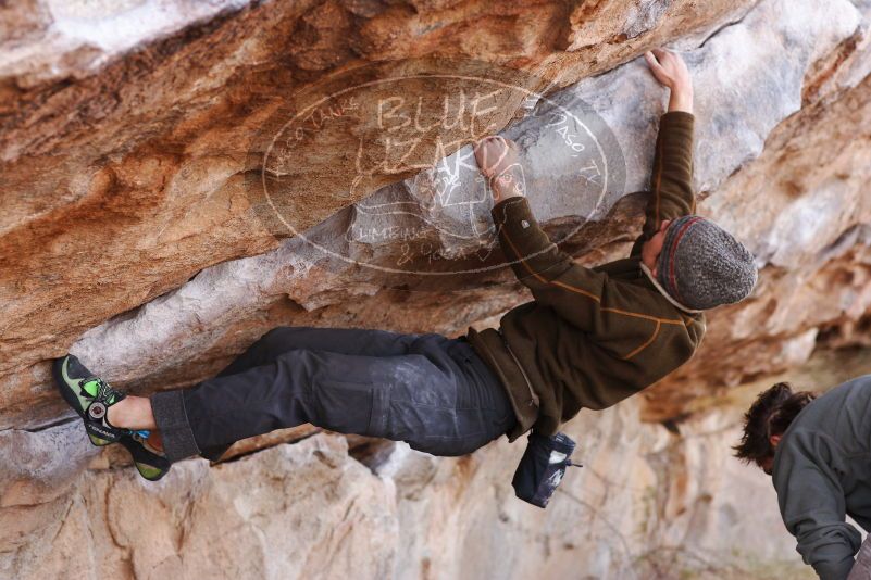 

Filename: SRM_20180107_1107360.jpg
Aperture: f/4.0
Shutter Speed: 1/400
Body: Canon EOS-1D Mark II
Lens: Canon EF 85mm f/1.2 L II