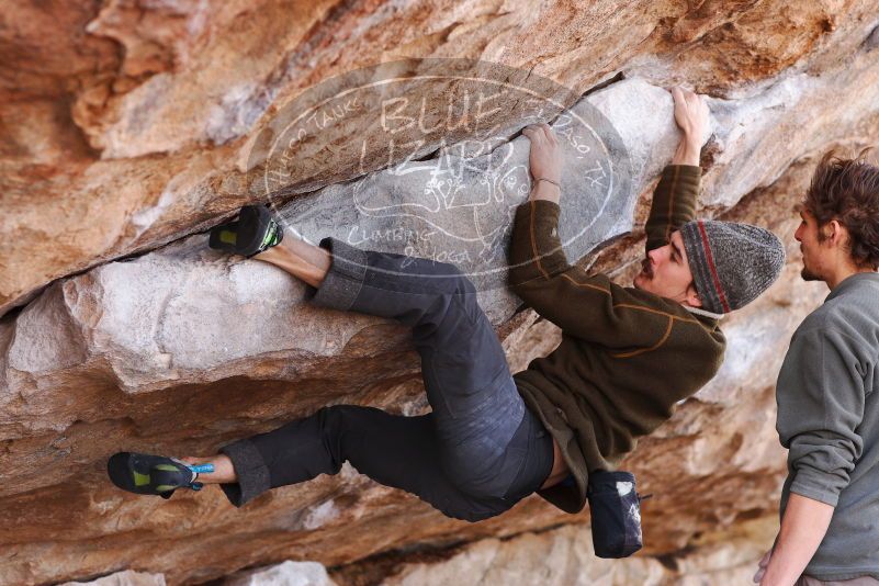 

Filename: SRM_20180107_1107490.jpg
Aperture: f/4.0
Shutter Speed: 1/500
Body: Canon EOS-1D Mark II
Lens: Canon EF 85mm f/1.2 L II