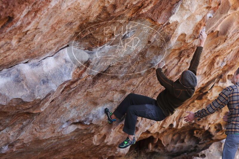 

Filename: SRM_20180107_1140080.jpg
Aperture: f/4.0
Shutter Speed: 1/1000
Body: Canon EOS-1D Mark II
Lens: Canon EF 85mm f/1.2 L II