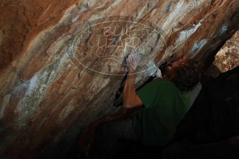 

Filename: SRM_20180107_1328520.jpg
Aperture: f/8.0
Shutter Speed: 1/250
Body: Canon EOS-1D Mark II
Lens: Canon EF 50mm f/1.8 II