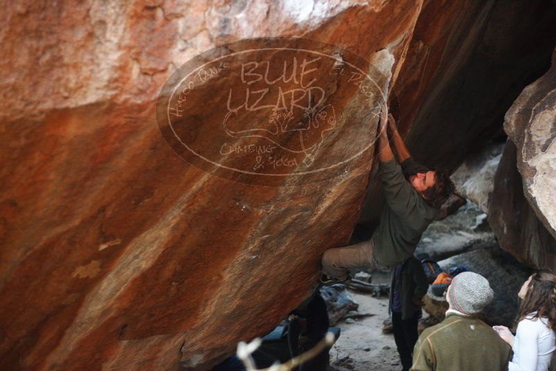 

Filename: SRM_20180107_1759010.jpg
Aperture: f/2.2
Shutter Speed: 1/200
Body: Canon EOS-1D Mark II
Lens: Canon EF 50mm f/1.8 II