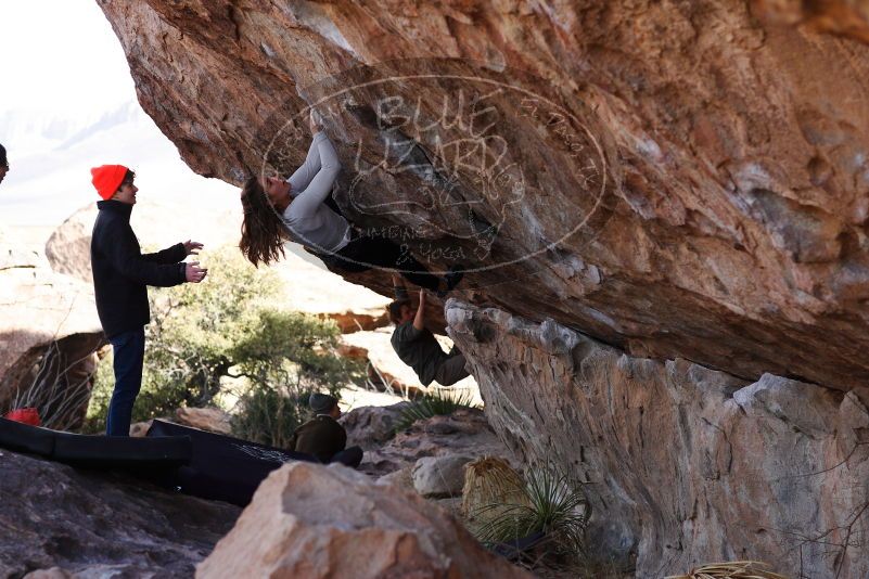 

Filename: SRM_20180107_1057290.jpg
Aperture: f/4.0
Shutter Speed: 1/1000
Body: Canon EOS-1D Mark II
Lens: Canon EF 85mm f/1.2 L II