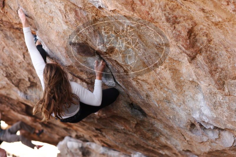 

Filename: SRM_20180107_1057500.jpg
Aperture: f/4.0
Shutter Speed: 1/500
Body: Canon EOS-1D Mark II
Lens: Canon EF 85mm f/1.2 L II