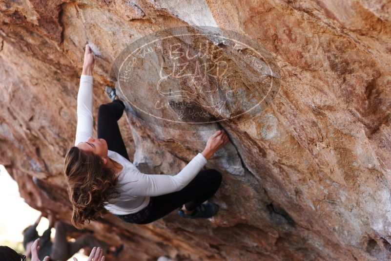 

Filename: SRM_20180107_1057520.jpg
Aperture: f/4.0
Shutter Speed: 1/640
Body: Canon EOS-1D Mark II
Lens: Canon EF 85mm f/1.2 L II