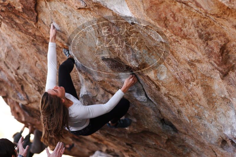 

Filename: SRM_20180107_1057521.jpg
Aperture: f/4.0
Shutter Speed: 1/640
Body: Canon EOS-1D Mark II
Lens: Canon EF 85mm f/1.2 L II