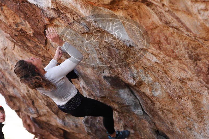 

Filename: SRM_20180107_1057522.jpg
Aperture: f/4.0
Shutter Speed: 1/800
Body: Canon EOS-1D Mark II
Lens: Canon EF 85mm f/1.2 L II