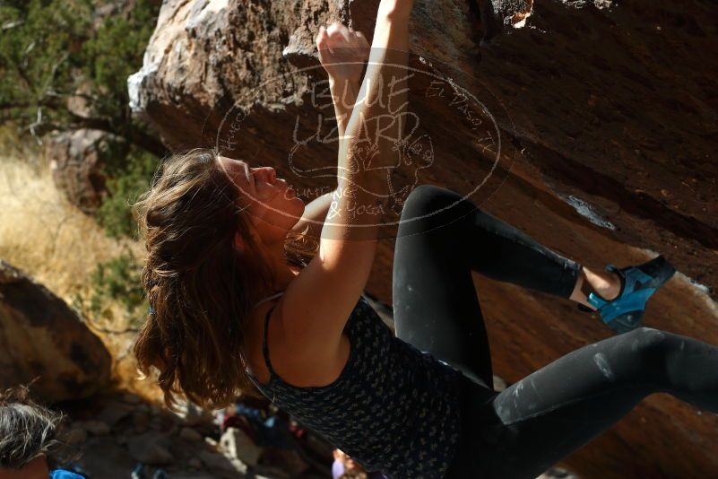 

Filename: SRM_20180107_1301340.jpg
Aperture: f/5.6
Shutter Speed: 1/250
Body: Canon EOS-1D Mark II
Lens: Canon EF 50mm f/1.8 II