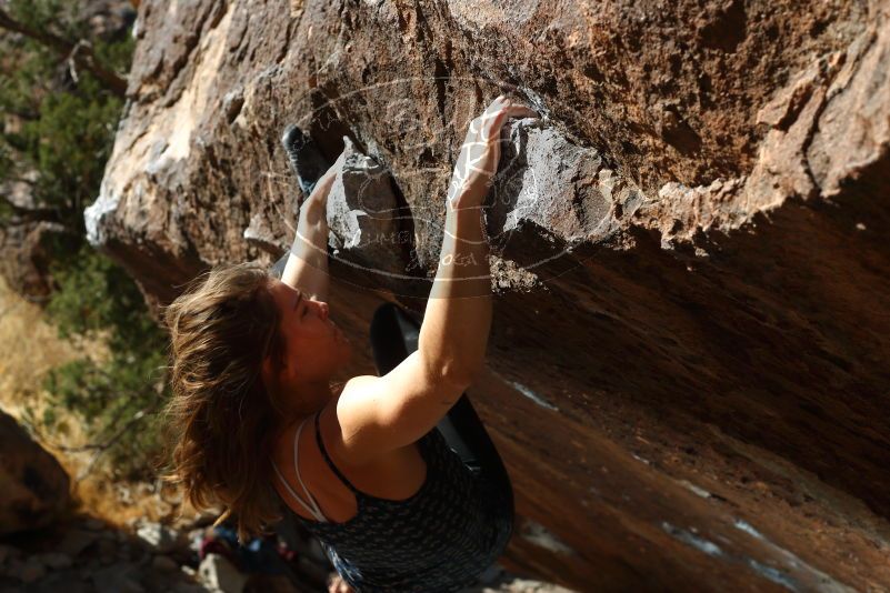 

Filename: SRM_20180107_1301490.jpg
Aperture: f/5.6
Shutter Speed: 1/250
Body: Canon EOS-1D Mark II
Lens: Canon EF 50mm f/1.8 II