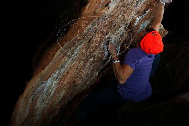 

Filename: SRM_20180107_1328110.jpg
Aperture: f/8.0
Shutter Speed: 1/250
Body: Canon EOS-1D Mark II
Lens: Canon EF 50mm f/1.8 II