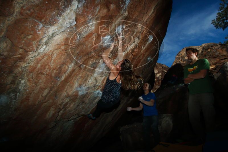 

Filename: SRM_20180107_1354130.jpg
Aperture: f/8.0
Shutter Speed: 1/250
Body: Canon EOS-1D Mark II
Lens: Canon EF 16-35mm f/2.8 L