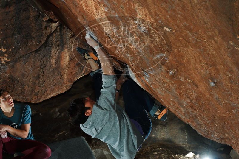 

Filename: SRM_20180107_1630280.jpg
Aperture: f/5.6
Shutter Speed: 1/250
Body: Canon EOS-1D Mark II
Lens: Canon EF 50mm f/1.8 II