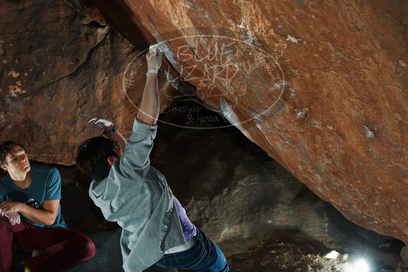 

Filename: SRM_20180107_1630340.jpg
Aperture: f/5.6
Shutter Speed: 1/250
Body: Canon EOS-1D Mark II
Lens: Canon EF 50mm f/1.8 II