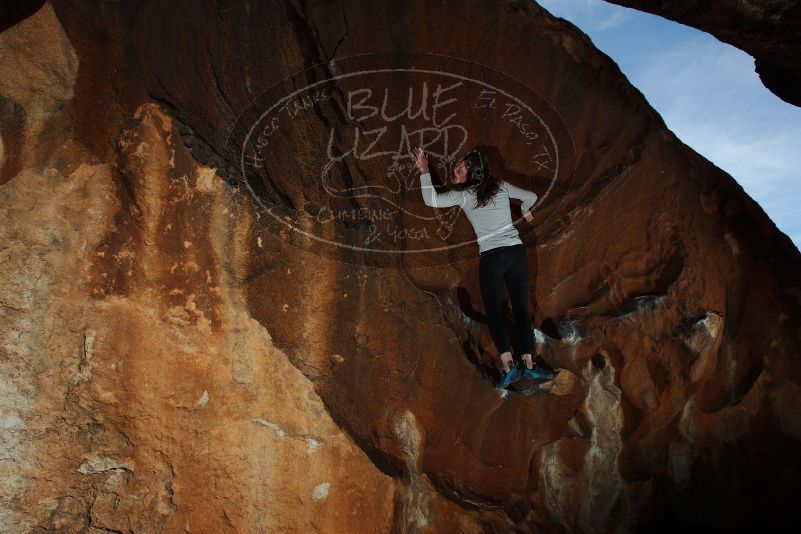 

Filename: SRM_20180107_1710290.jpg
Aperture: f/8.0
Shutter Speed: 1/250
Body: Canon EOS-1D Mark II
Lens: Canon EF 16-35mm f/2.8 L