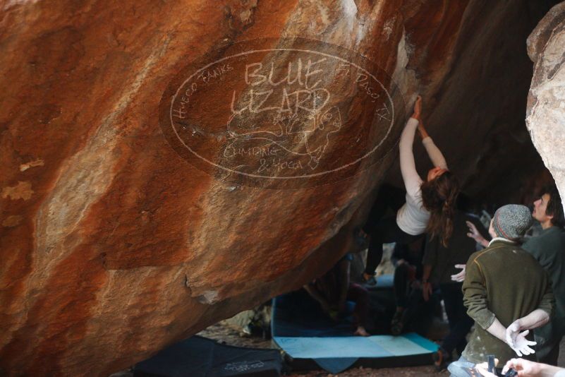 

Filename: SRM_20180107_1757220.jpg
Aperture: f/2.2
Shutter Speed: 1/160
Body: Canon EOS-1D Mark II
Lens: Canon EF 50mm f/1.8 II