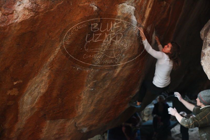 

Filename: SRM_20180107_1757340.jpg
Aperture: f/2.2
Shutter Speed: 1/250
Body: Canon EOS-1D Mark II
Lens: Canon EF 50mm f/1.8 II