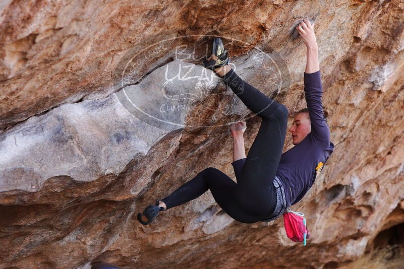 

Filename: SRM_20180107_1055071.jpg
Aperture: f/4.0
Shutter Speed: 1/640
Body: Canon EOS-1D Mark II
Lens: Canon EF 85mm f/1.2 L II