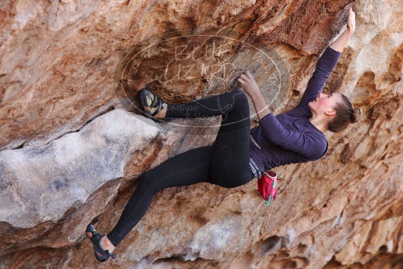 

Filename: SRM_20180107_1055091.jpg
Aperture: f/4.0
Shutter Speed: 1/500
Body: Canon EOS-1D Mark II
Lens: Canon EF 85mm f/1.2 L II