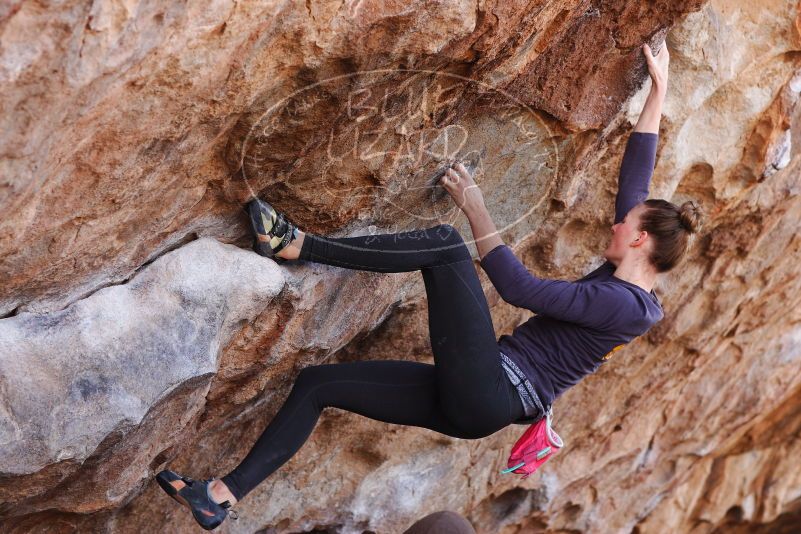 

Filename: SRM_20180107_1055094.jpg
Aperture: f/4.0
Shutter Speed: 1/640
Body: Canon EOS-1D Mark II
Lens: Canon EF 85mm f/1.2 L II