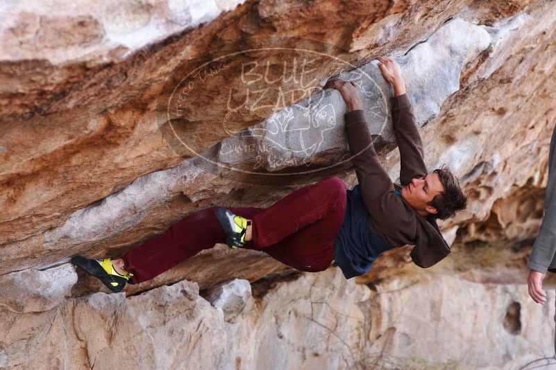 

Filename: SRM_20180107_1056000.jpg
Aperture: f/4.0
Shutter Speed: 1/400
Body: Canon EOS-1D Mark II
Lens: Canon EF 85mm f/1.2 L II