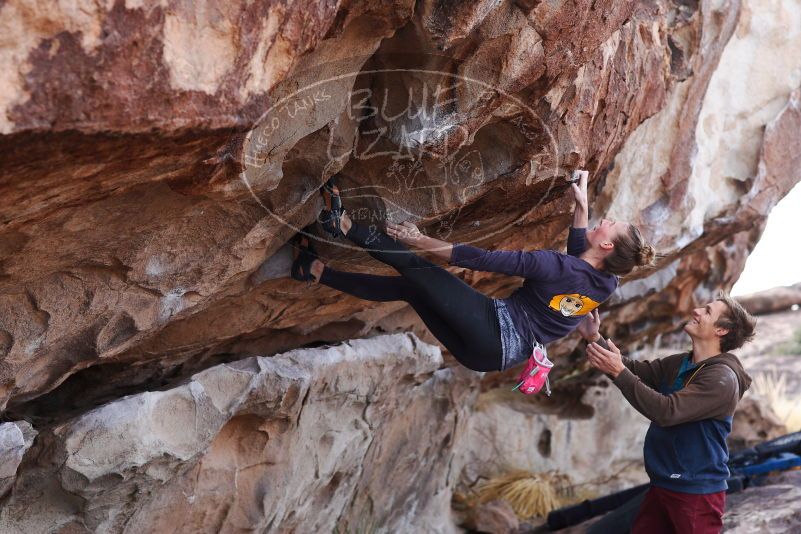 

Filename: SRM_20180107_1111391.jpg
Aperture: f/4.0
Shutter Speed: 1/800
Body: Canon EOS-1D Mark II
Lens: Canon EF 85mm f/1.2 L II