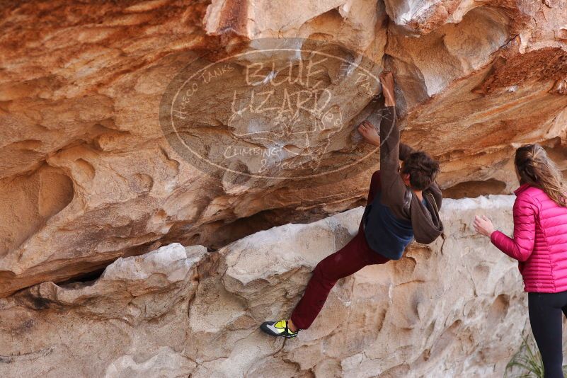 

Filename: SRM_20180107_1112280.jpg
Aperture: f/4.0
Shutter Speed: 1/500
Body: Canon EOS-1D Mark II
Lens: Canon EF 85mm f/1.2 L II