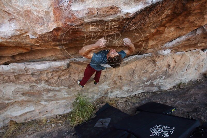 

Filename: SRM_20180107_1124481.jpg
Aperture: f/5.6
Shutter Speed: 1/320
Body: Canon EOS-1D Mark II
Lens: Canon EF 16-35mm f/2.8 L