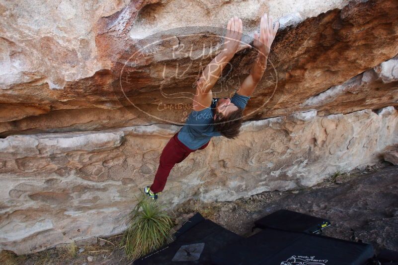 

Filename: SRM_20180107_1124482.jpg
Aperture: f/5.6
Shutter Speed: 1/320
Body: Canon EOS-1D Mark II
Lens: Canon EF 16-35mm f/2.8 L