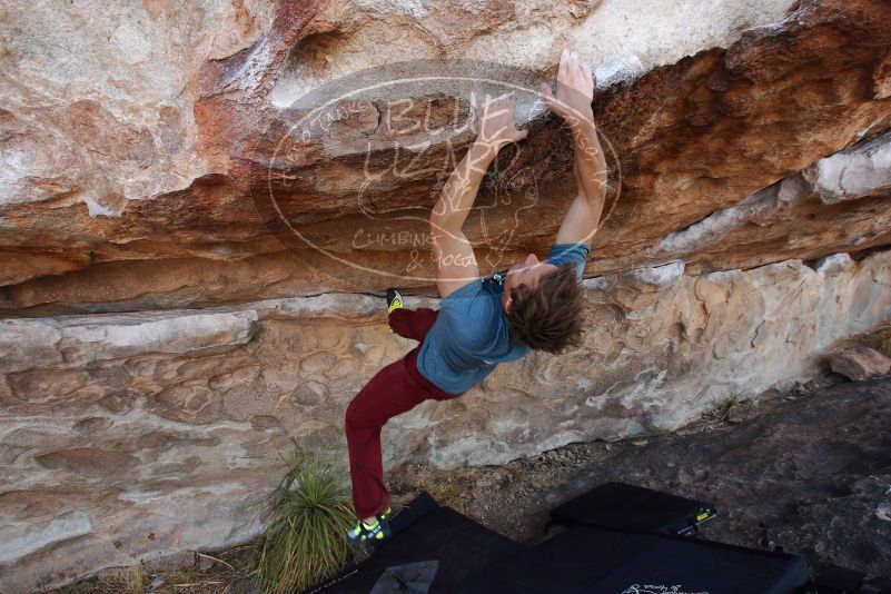 

Filename: SRM_20180107_1124490.jpg
Aperture: f/5.6
Shutter Speed: 1/320
Body: Canon EOS-1D Mark II
Lens: Canon EF 16-35mm f/2.8 L