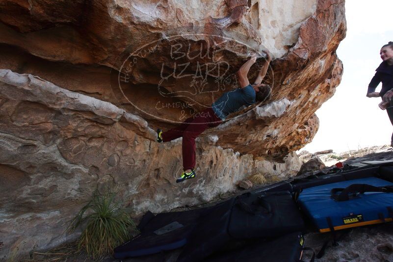 

Filename: SRM_20180107_1125271.jpg
Aperture: f/5.6
Shutter Speed: 1/500
Body: Canon EOS-1D Mark II
Lens: Canon EF 16-35mm f/2.8 L