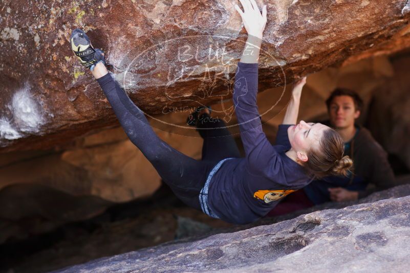 

Filename: SRM_20180107_1132072.jpg
Aperture: f/2.0
Shutter Speed: 1/640
Body: Canon EOS-1D Mark II
Lens: Canon EF 85mm f/1.2 L II