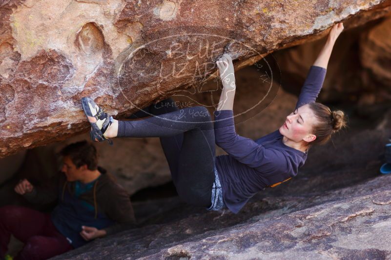 

Filename: SRM_20180107_1132190.jpg
Aperture: f/2.0
Shutter Speed: 1/640
Body: Canon EOS-1D Mark II
Lens: Canon EF 85mm f/1.2 L II