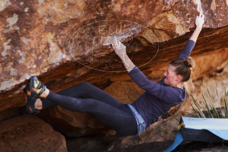 

Filename: SRM_20180107_1133170.jpg
Aperture: f/2.8
Shutter Speed: 1/500
Body: Canon EOS-1D Mark II
Lens: Canon EF 85mm f/1.2 L II