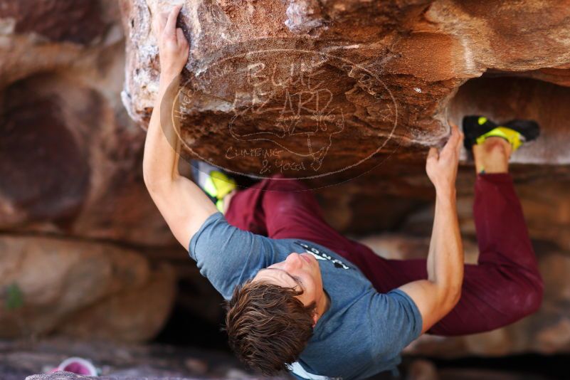 

Filename: SRM_20180107_1135221.jpg
Aperture: f/2.0
Shutter Speed: 1/800
Body: Canon EOS-1D Mark II
Lens: Canon EF 85mm f/1.2 L II