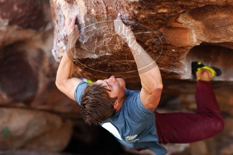 

Filename: SRM_20180107_1135223.jpg
Aperture: f/2.0
Shutter Speed: 1/800
Body: Canon EOS-1D Mark II
Lens: Canon EF 85mm f/1.2 L II