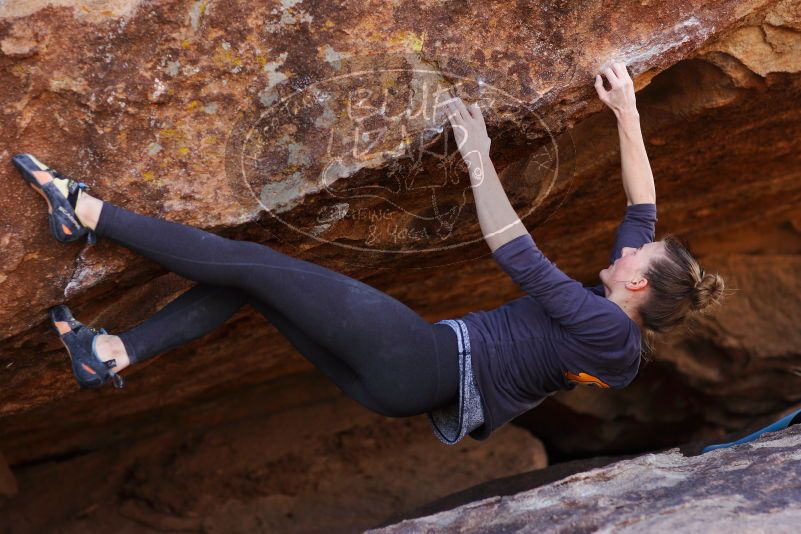 

Filename: SRM_20180107_1139171.jpg
Aperture: f/2.8
Shutter Speed: 1/1000
Body: Canon EOS-1D Mark II
Lens: Canon EF 85mm f/1.2 L II