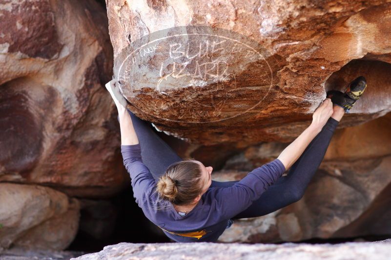 

Filename: SRM_20180107_1152520.jpg
Aperture: f/2.8
Shutter Speed: 1/400
Body: Canon EOS-1D Mark II
Lens: Canon EF 85mm f/1.2 L II