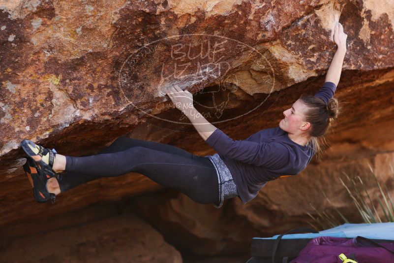 

Filename: SRM_20180107_1153533.jpg
Aperture: f/2.8
Shutter Speed: 1/1600
Body: Canon EOS-1D Mark II
Lens: Canon EF 85mm f/1.2 L II