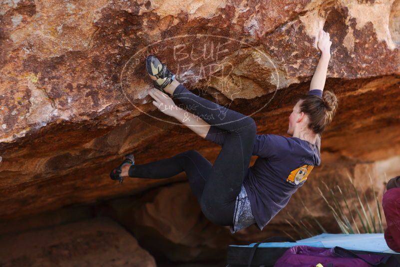 

Filename: SRM_20180107_1153560.jpg
Aperture: f/2.8
Shutter Speed: 1/1600
Body: Canon EOS-1D Mark II
Lens: Canon EF 85mm f/1.2 L II