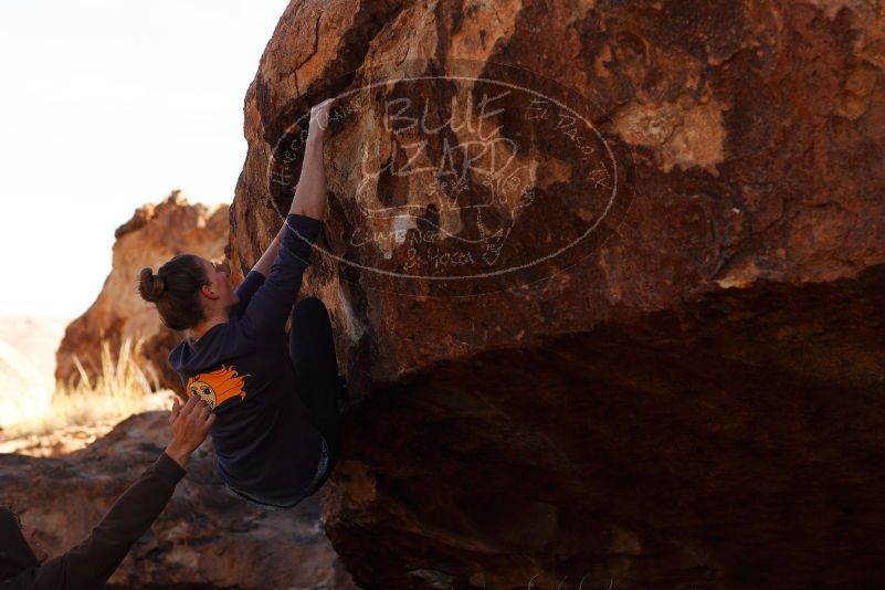 

Filename: SRM_20180107_1154242.jpg
Aperture: f/4.0
Shutter Speed: 1/1000
Body: Canon EOS-1D Mark II
Lens: Canon EF 85mm f/1.2 L II