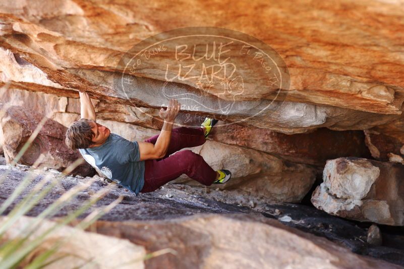 

Filename: SRM_20180107_1156480.jpg
Aperture: f/2.8
Shutter Speed: 1/320
Body: Canon EOS-1D Mark II
Lens: Canon EF 85mm f/1.2 L II