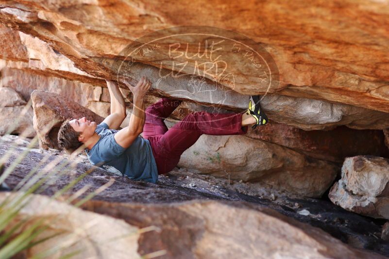 

Filename: SRM_20180107_1156550.jpg
Aperture: f/2.8
Shutter Speed: 1/400
Body: Canon EOS-1D Mark II
Lens: Canon EF 85mm f/1.2 L II