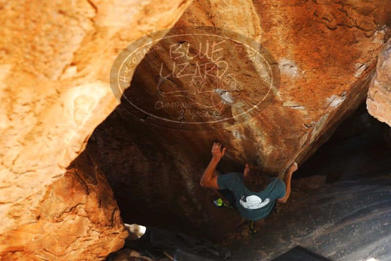 

Filename: SRM_20180107_1311240.jpg
Aperture: f/3.5
Shutter Speed: 1/250
Body: Canon EOS-1D Mark II
Lens: Canon EF 50mm f/1.8 II