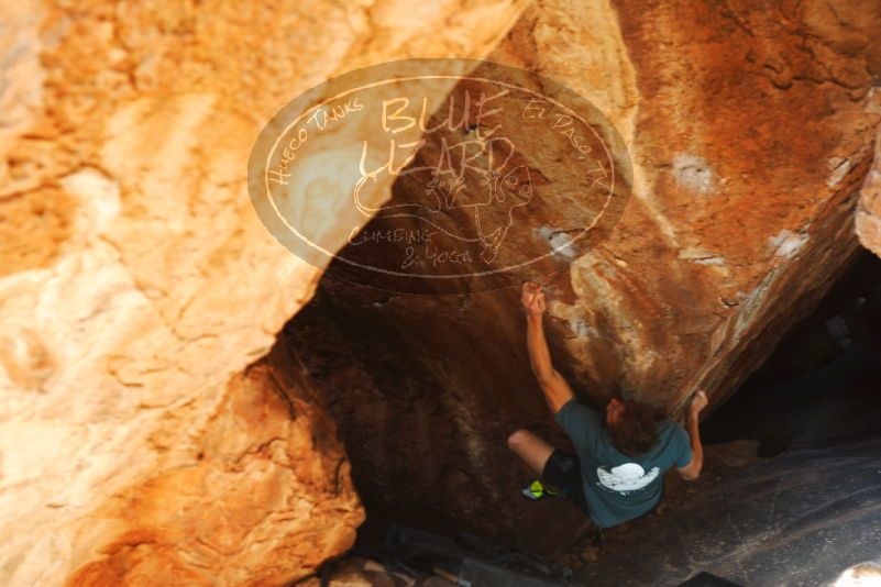 

Filename: SRM_20180107_1312160.jpg
Aperture: f/3.5
Shutter Speed: 1/250
Body: Canon EOS-1D Mark II
Lens: Canon EF 50mm f/1.8 II