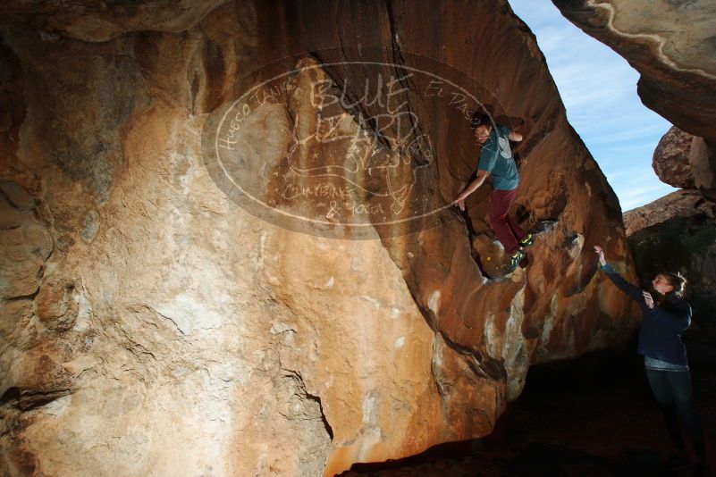 

Filename: SRM_20180107_1714090.jpg
Aperture: f/8.0
Shutter Speed: 1/250
Body: Canon EOS-1D Mark II
Lens: Canon EF 16-35mm f/2.8 L