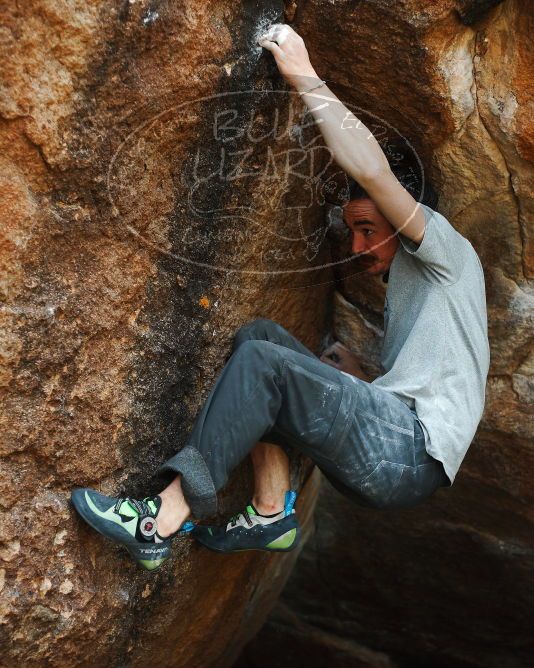 

Filename: SRM_20180108_1245030.jpg
Aperture: f/2.8
Shutter Speed: 1/800
Body: Canon EOS-1D Mark II
Lens: Canon EF 50mm f/1.8 II