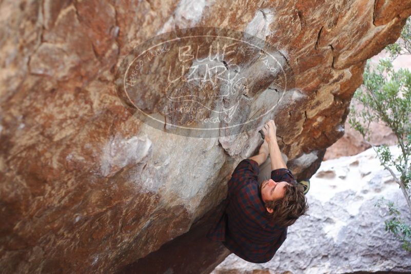 

Filename: SRM_20180108_1320400.jpg
Aperture: f/2.8
Shutter Speed: 1/250
Body: Canon EOS-1D Mark II
Lens: Canon EF 50mm f/1.8 II