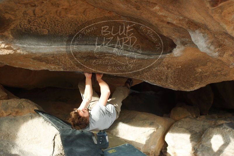 

Filename: SRM_20180108_1649190.jpg
Aperture: f/2.8
Shutter Speed: 1/500
Body: Canon EOS-1D Mark II
Lens: Canon EF 50mm f/1.8 II